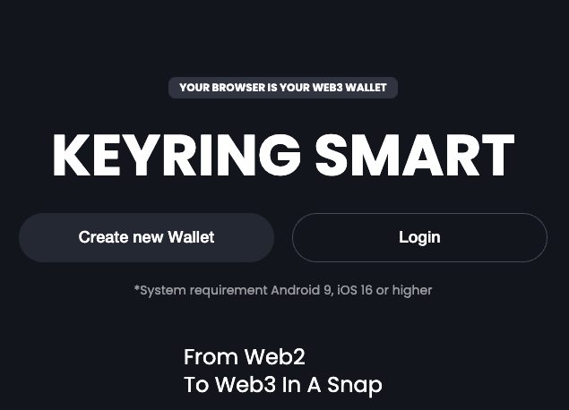 Keyring Smart